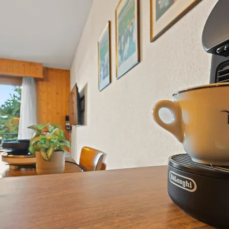 En Plein Centre De Appartement *